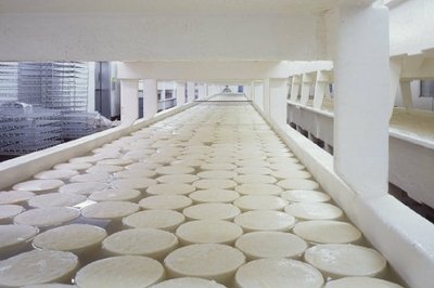 process manufacturing ERP - CHEESE